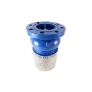 Foot valves & check valves